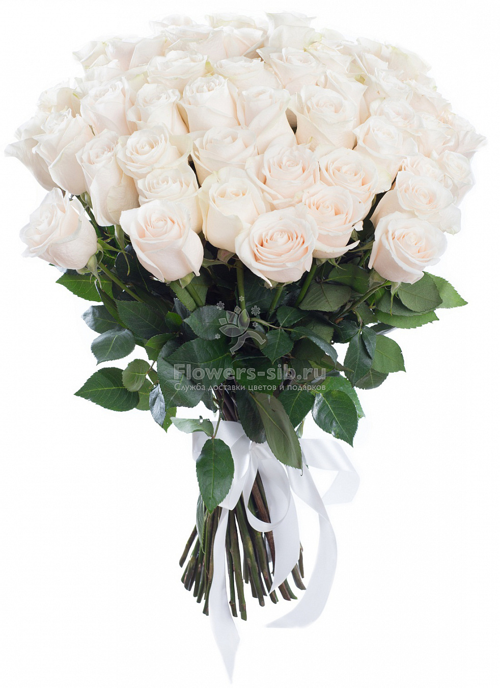 BOUQUET OF 45 ROSES
